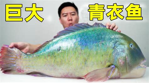 武義附近哪裏有魚釣，不妨從古籍中尋找靈感